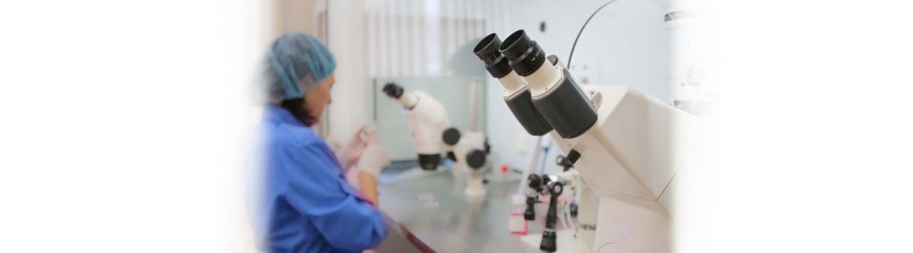 Realización de una investigación científica: ¿investigación cuantitativa o cualitativa?