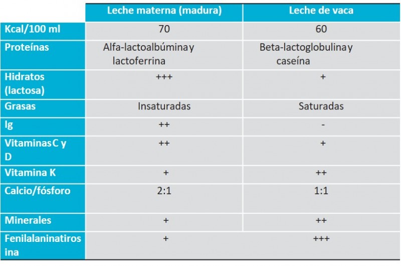 TEMA 6. NUTRICIÓN