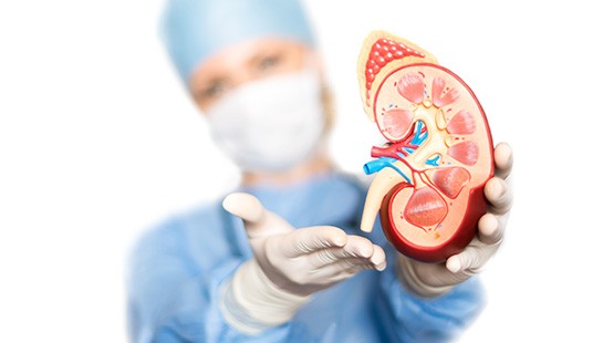 EL PACIENT CRÍTIC AMB PATOLOGÍES NEFROLÒGICAS