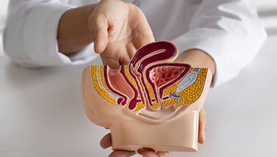 EVALUACIÓN Y MANEJO DEL PACIENTE CON PATOLOGÍAS UROGENITALES URGENTES