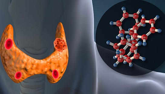 ATENCIÓN Y CUIDADOS DEL PACIENTE CON PATOLOGÍAS METABÓLICAS Y ENDOCRINAS URGENTES